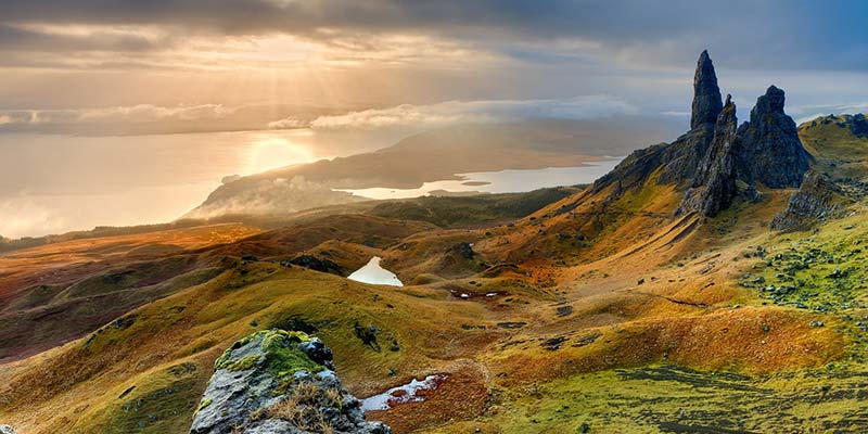 Purely Scottish on their way to net carbon zero